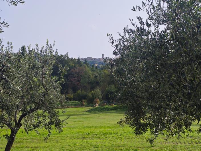 Image No.1-Appartement de 3 chambres à vendre à Volterra