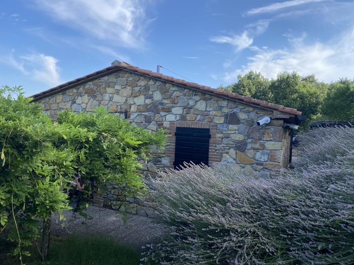 Image No.9-Ferme de 7 chambres à vendre à Castelnuovo di Val di Cecina