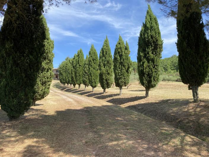 Image No.30-5 Bed Farmhouse for sale