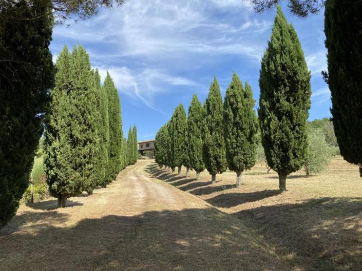 Image No.34-5 Bed Farmhouse for sale