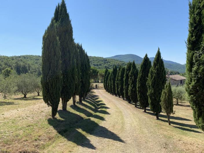 Image No.35-5 Bed Farmhouse for sale