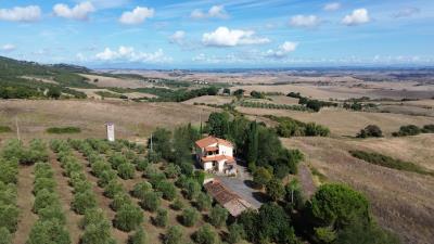 DJI_0266