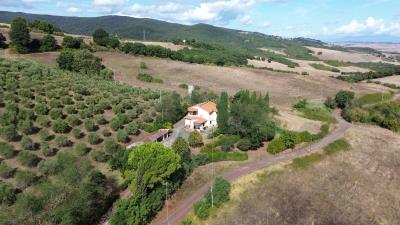 DJI_0267