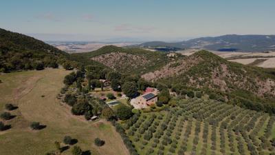 mini_DJI_0715