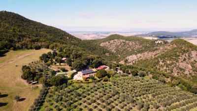 mini_DJI_0713