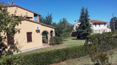 mini_20160814_104957