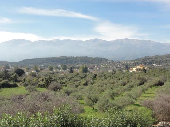 Image No.12-3 Bed Villa / Detached for sale