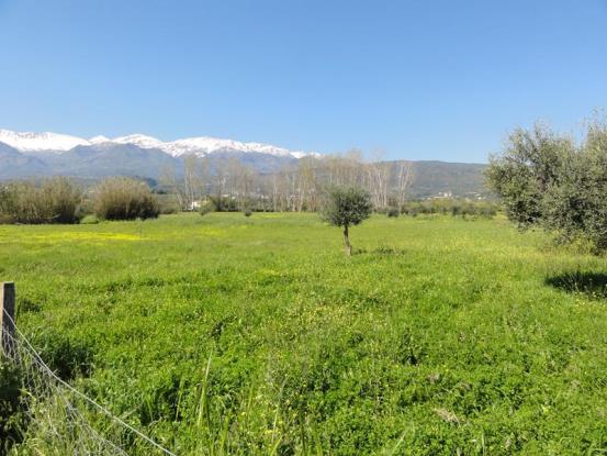 Image No.2-2 Bed House/Villa for sale