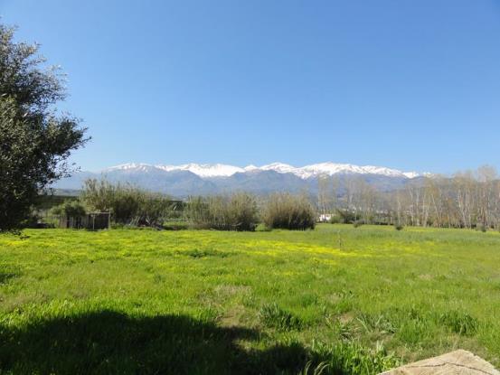 Image No.3-2 Bed House/Villa for sale