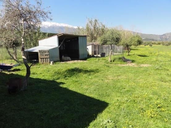 Image No.8-2 Bed House/Villa for sale