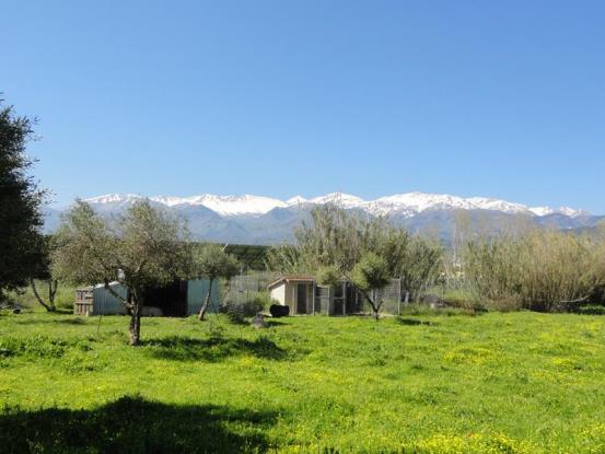 Image No.10-2 Bed House/Villa for sale