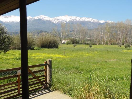 Image No.11-2 Bed House/Villa for sale