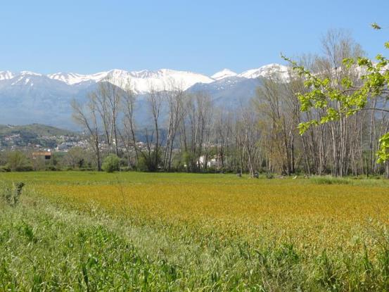 Image No.23-2 Bed House/Villa for sale