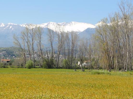 Image No.24-2 Bed House/Villa for sale