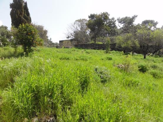 Image No.18-Maison / Villa de 3 chambres à vendre à Vamos