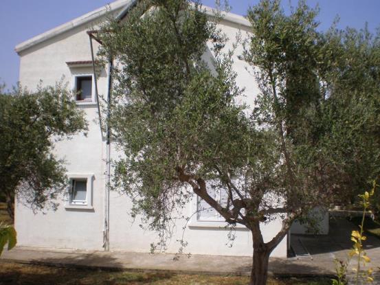 Image No.3-Villa / Détaché de 4 chambres à vendre à Gavalohori