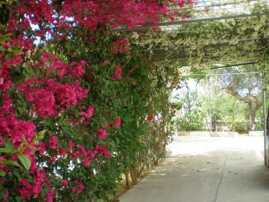 Image No.26-Villa / Détaché de 4 chambres à vendre à Gavalohori