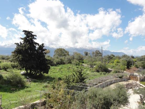 Image No.19-4 Bed House/Villa for sale