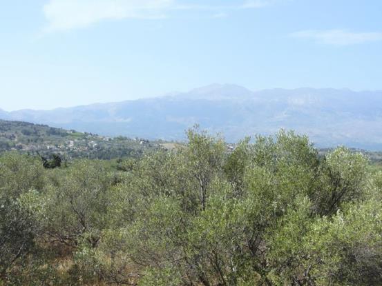 Image No.11-Maison / Villa de 3 chambres à vendre à Kefalas