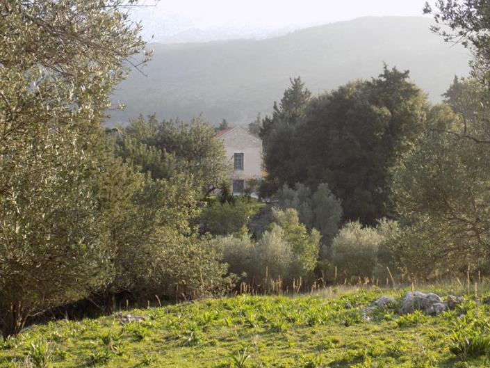 Image No.27-Maison / Villa de 2 chambres à vendre à Fres