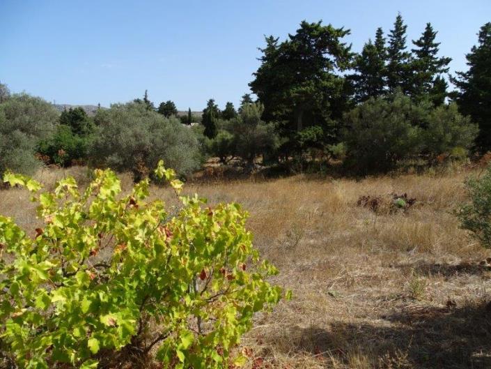 Image No.25-Villa / Détaché de 4 chambres à vendre à Vamos