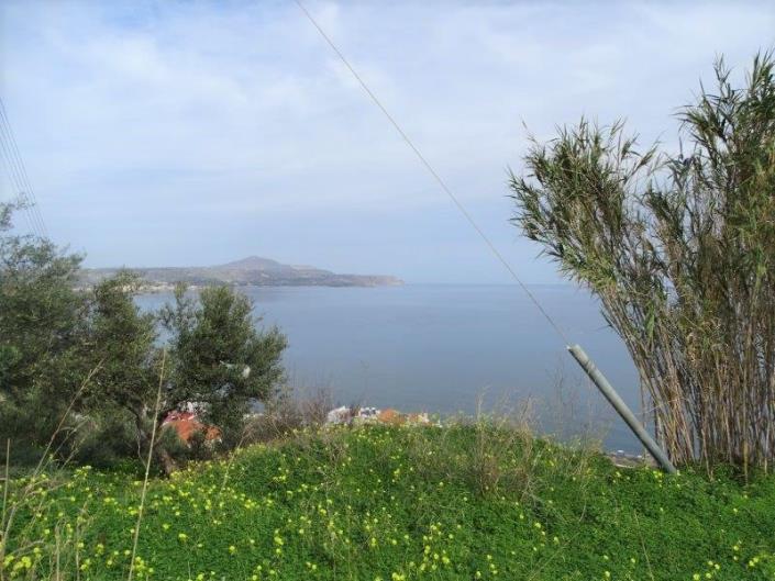 Image No.4-Terre à vendre à Kalyves