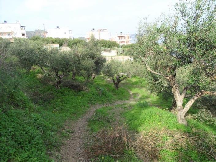 Image No.10-Terre à vendre à Kalyves