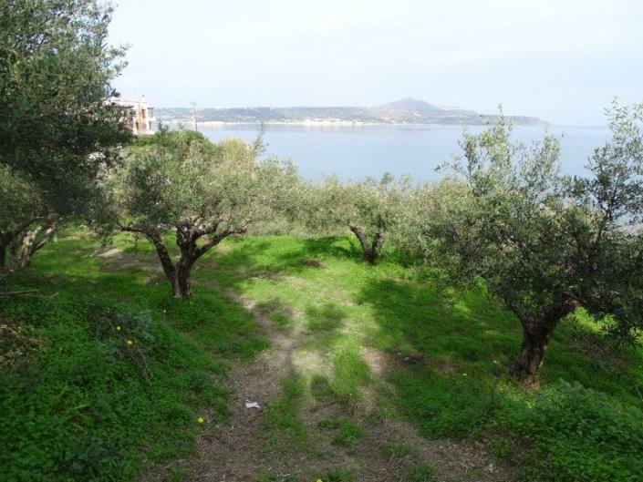 Image No.11-Terre à vendre à Kalyves