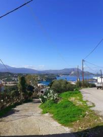 IMG-20210402-WA0001