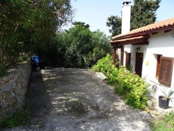 DSC05154