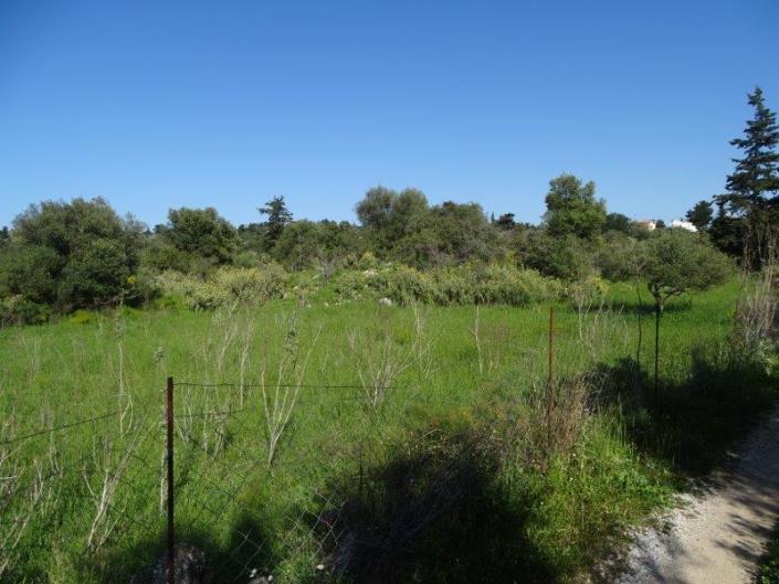 Image No.1-Plot for sale