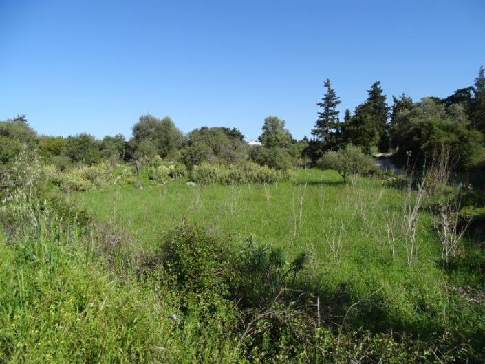 Image No.2-Terrain à vendre à Xirosterni