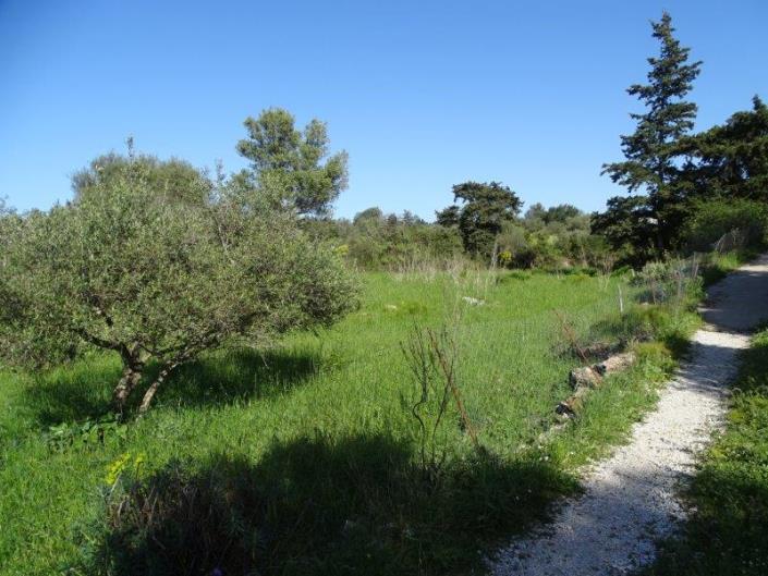 Image No.3-Terrain à vendre à Xirosterni