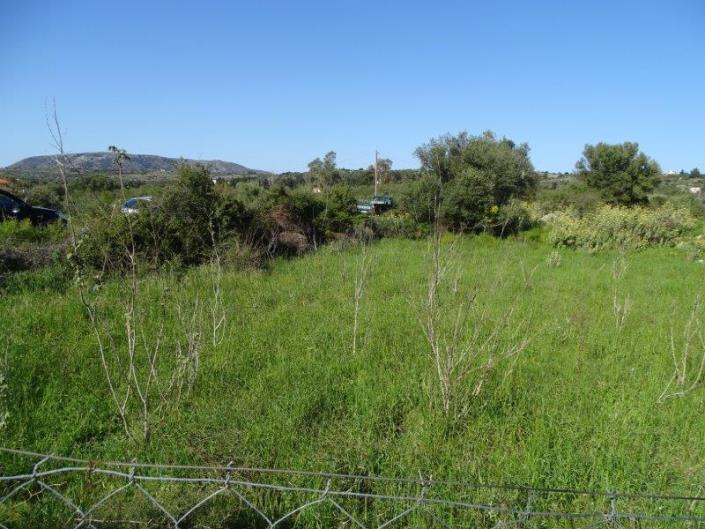 Image No.6-Terrain à vendre à Xirosterni