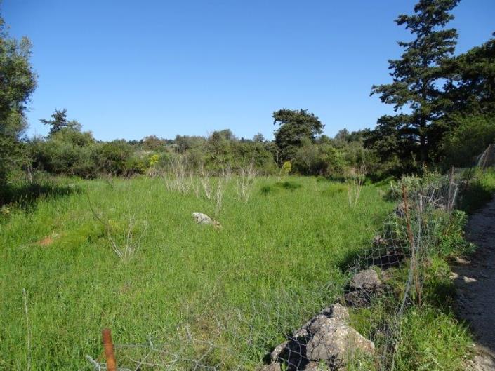 Image No.5-Terrain à vendre à Xirosterni