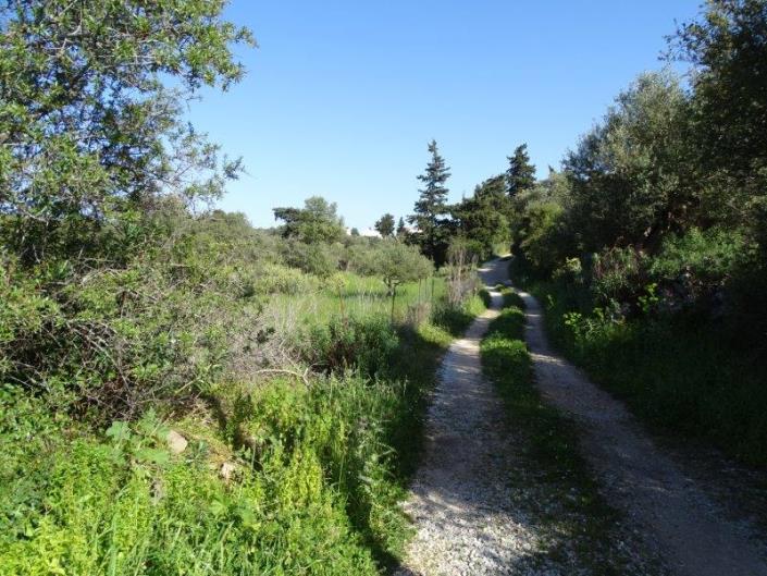 Image No.4-Terrain à vendre à Xirosterni