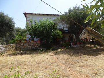 DSC05685