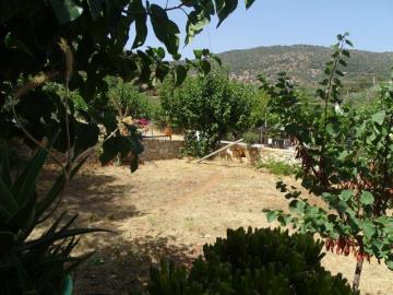 DSC05691