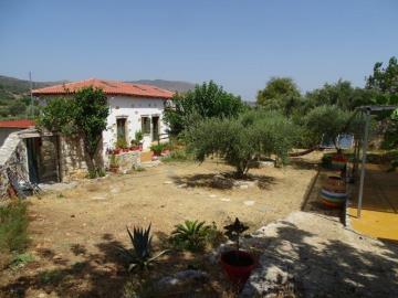 DSC05705
