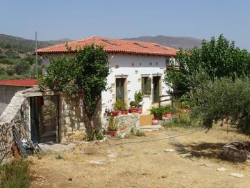 DSC05706