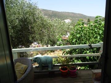 DSC05719