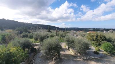 DJI_20230123_135901_128