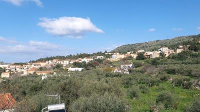 DJI_20230123_135943_130