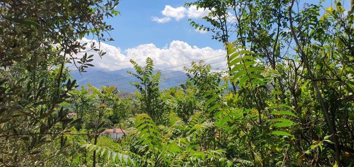 Image No.8-3 Bed Village House for sale