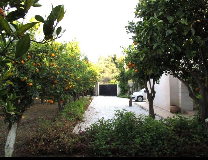 Image No.16-Villa / Détaché de 3 chambres à vendre à Stilos