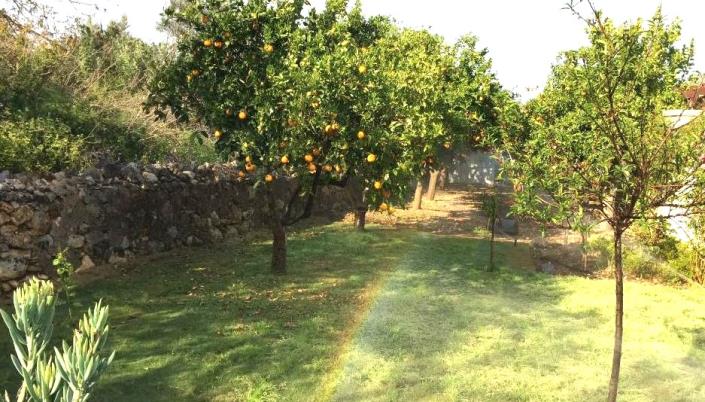 Image No.18-Villa / Détaché de 3 chambres à vendre à Stilos