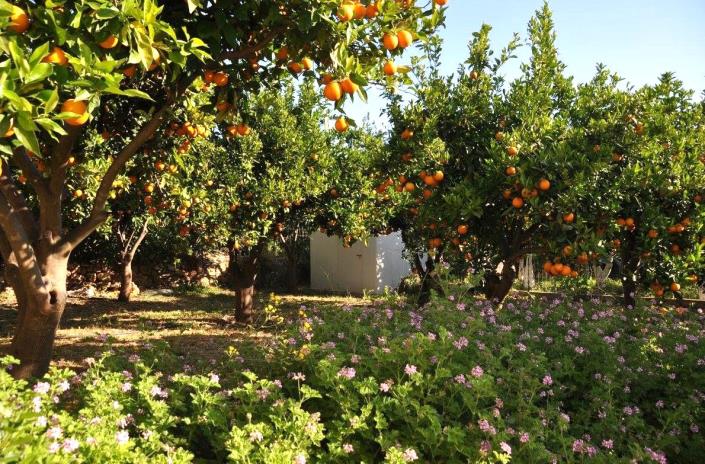 Image No.25-Villa / Détaché de 3 chambres à vendre à Stilos