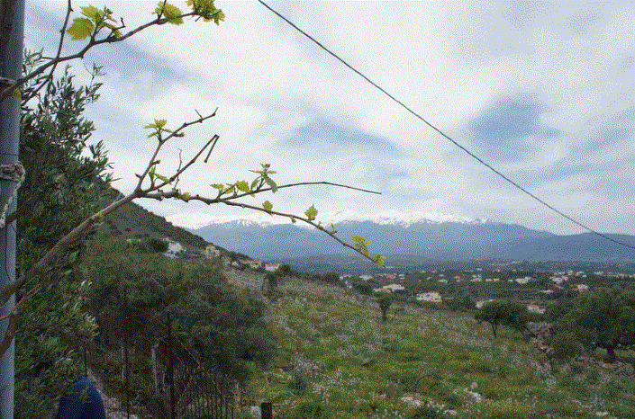 Image No.8-Maison / Villa de 2 chambres à vendre à Kokkino Horio