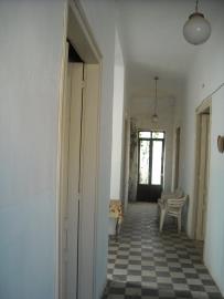 DSCN1865