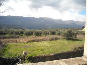 DSCN1882